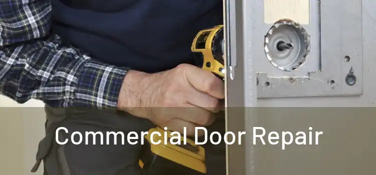 Commercial Door Repair