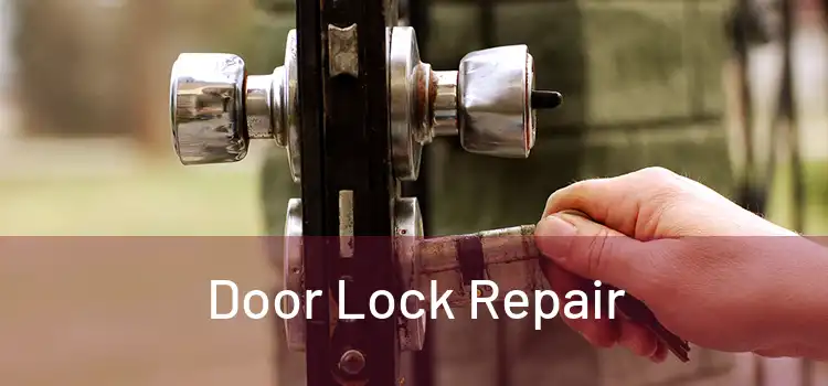 Door Lock Repair