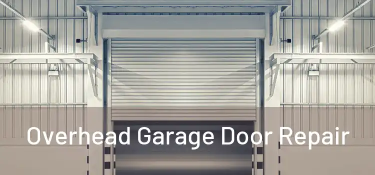  Overhead Garage Door Repair 